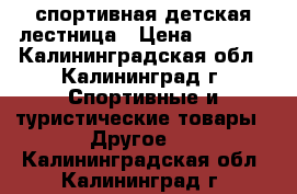 спортивная детская лестница › Цена ­ 3 500 - Калининградская обл., Калининград г. Спортивные и туристические товары » Другое   . Калининградская обл.,Калининград г.